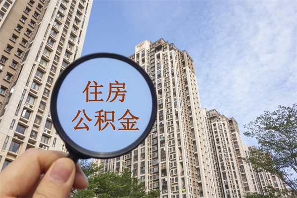 东阳离职多久可以取住房公积金（离职多久后能取公积金）